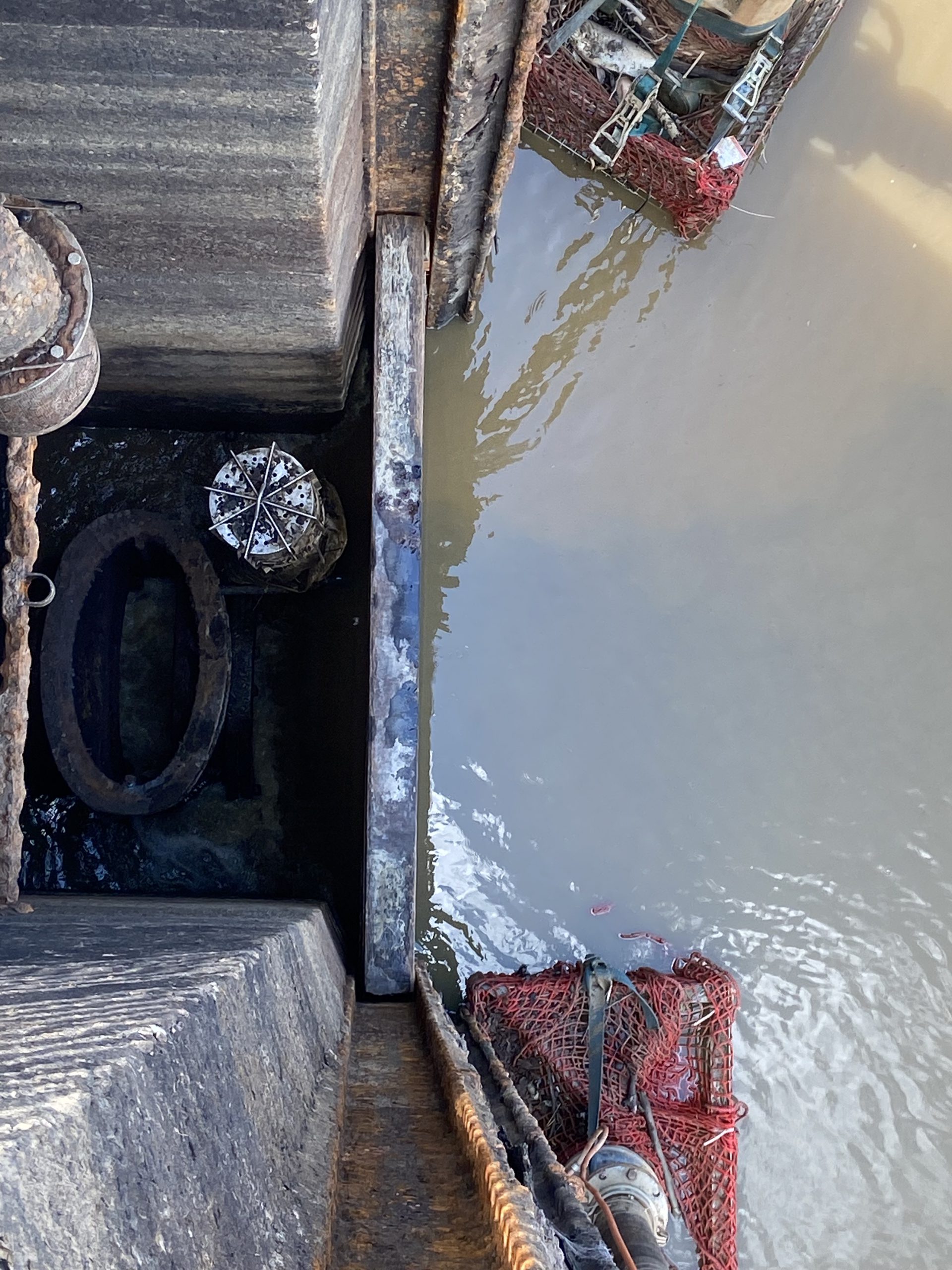 fin du pompage, on devine les 2x pompes qui commencent à sortir de l'eau, elles sont protégées par des filets et des bacs en acier
