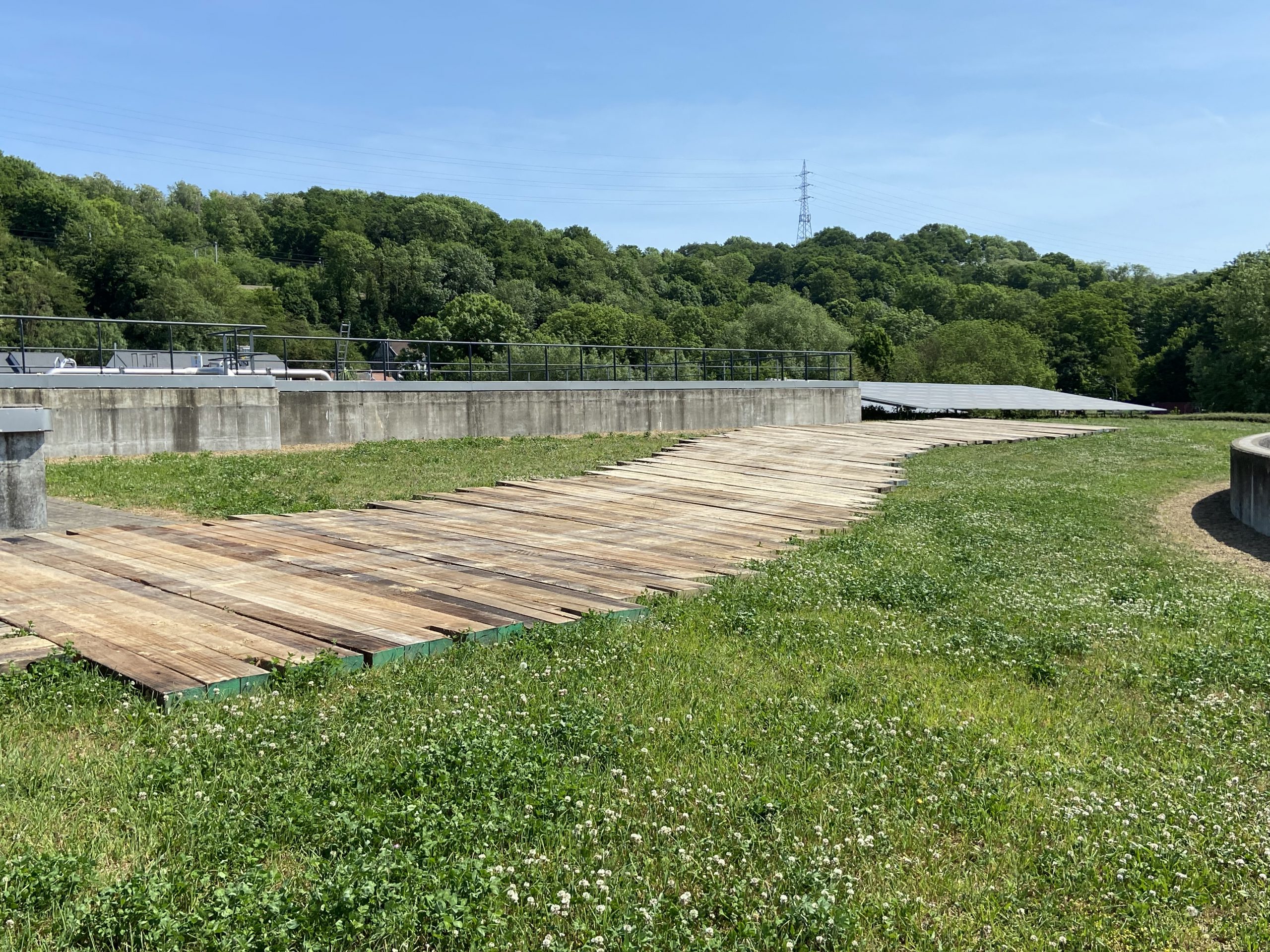 vous avez une belle pelouse à la place d'un beau chemin carrossable _ nous avons la solution !